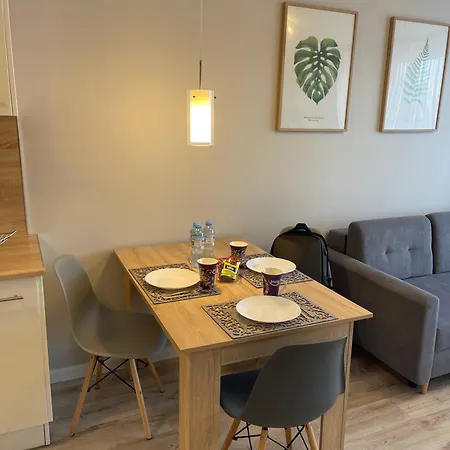 Апартаменты Mieszkanie W Centrum Z Oddzielna Sypialnia Плоцк