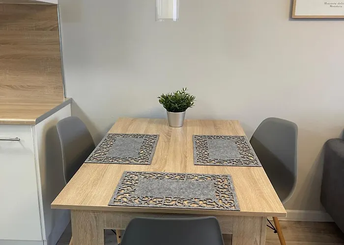 Mieszkanie W Centrum Z Oddzielna Sypialnia